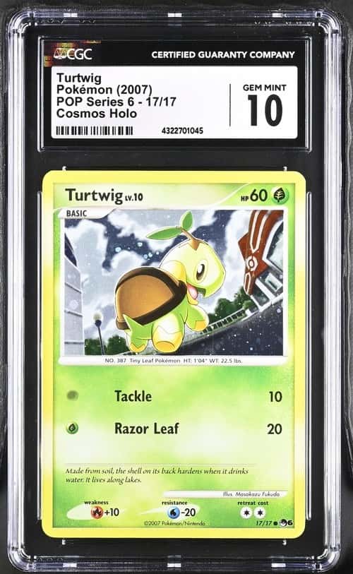 Turtwig