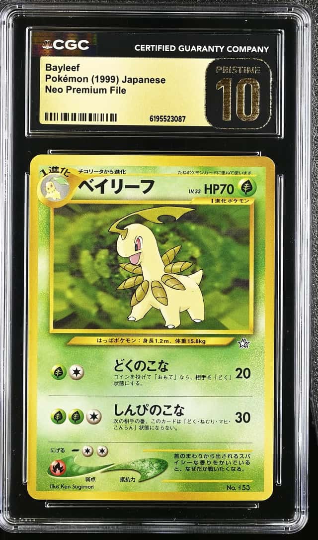 Bayleef