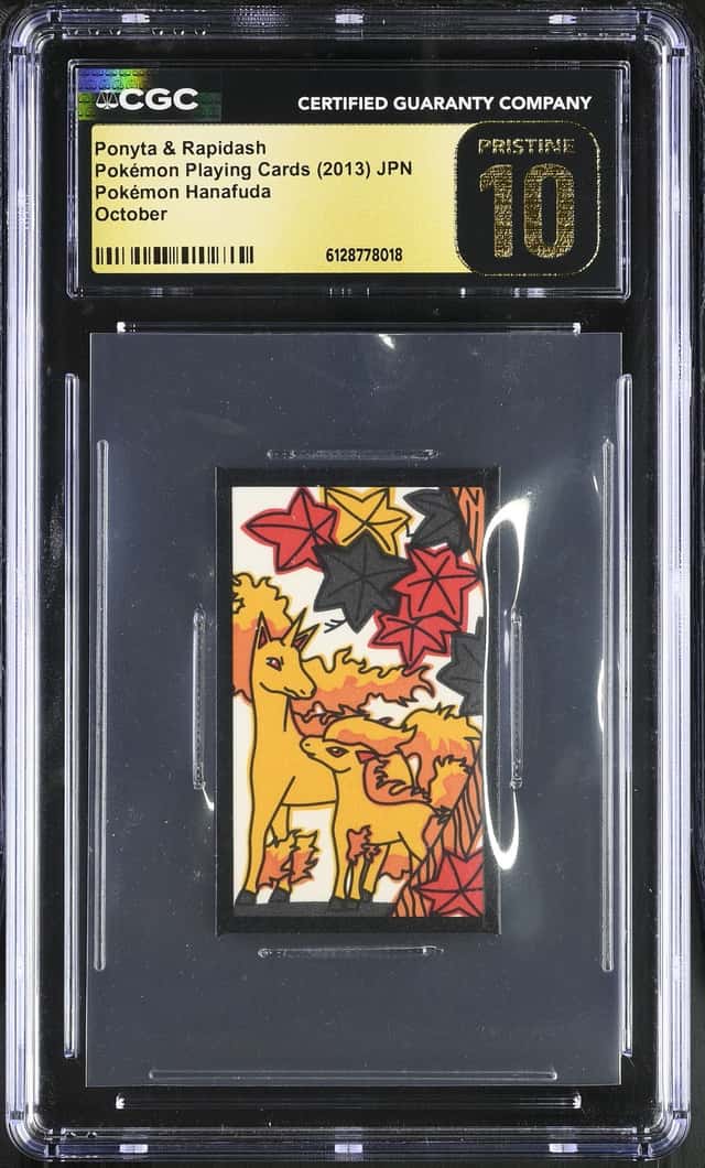 Ponyta & Rapidash