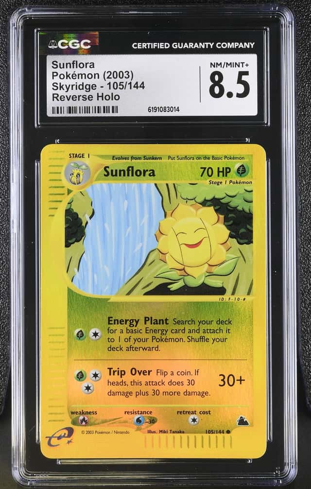 Sunflora