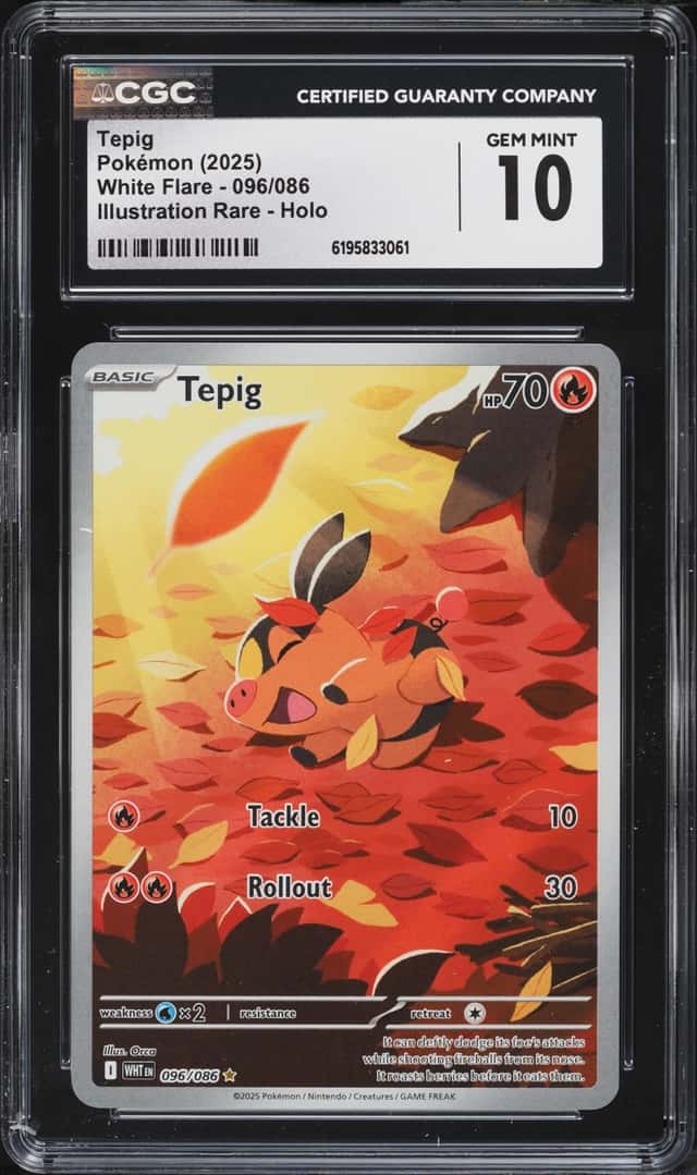 Tepig