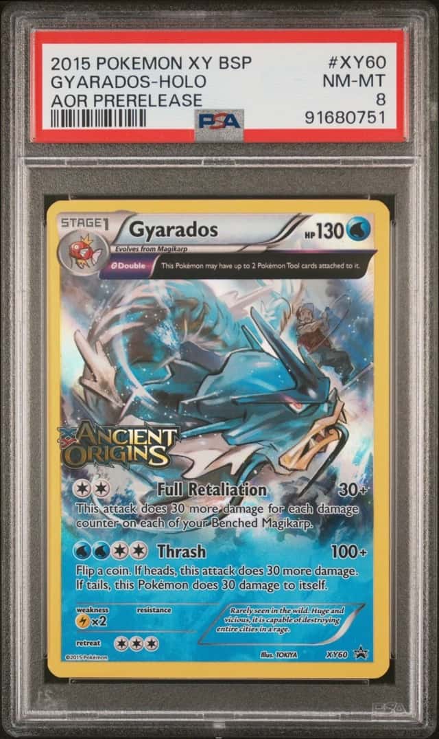 Pokemon Gyarados Holo Black Star Promos XY60 Ancient Origins Prerelease PSA 8