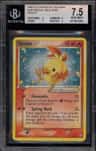 Torchic