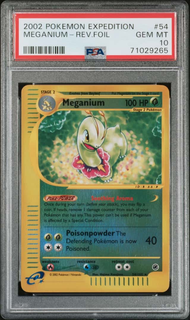 Meganium