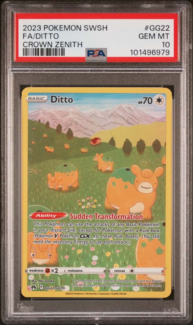 Ditto