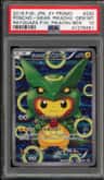 Poncho-Wearing Pikachu