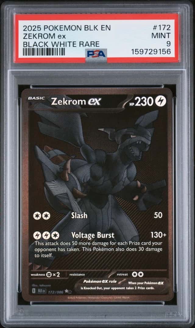 ZEKROM ex