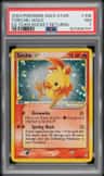 Torchic
