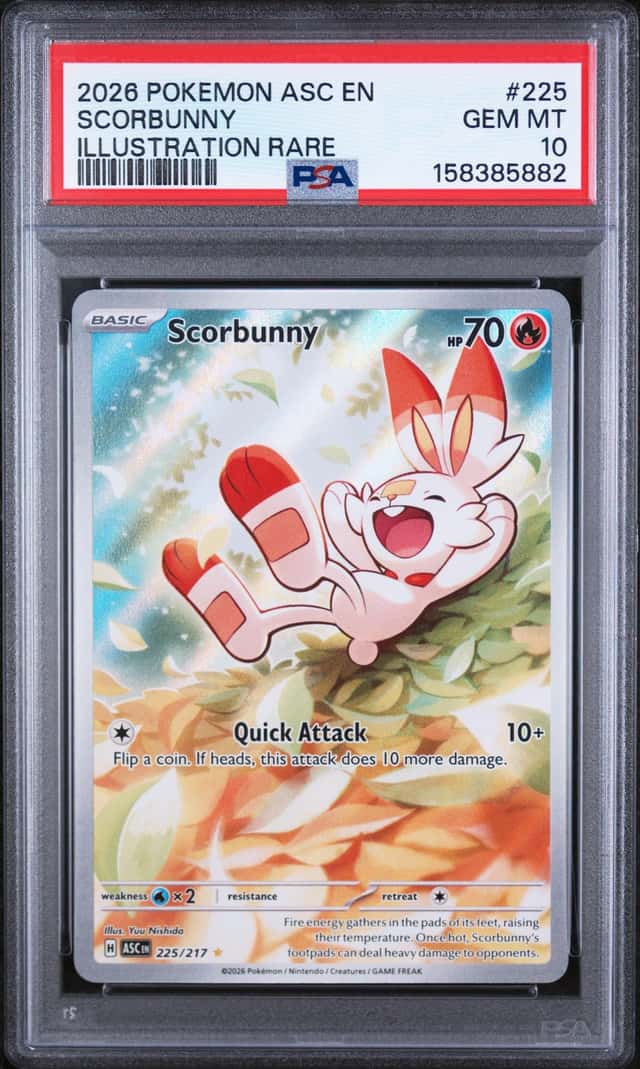 Scorbunny