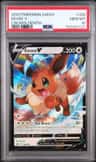 Eevee V