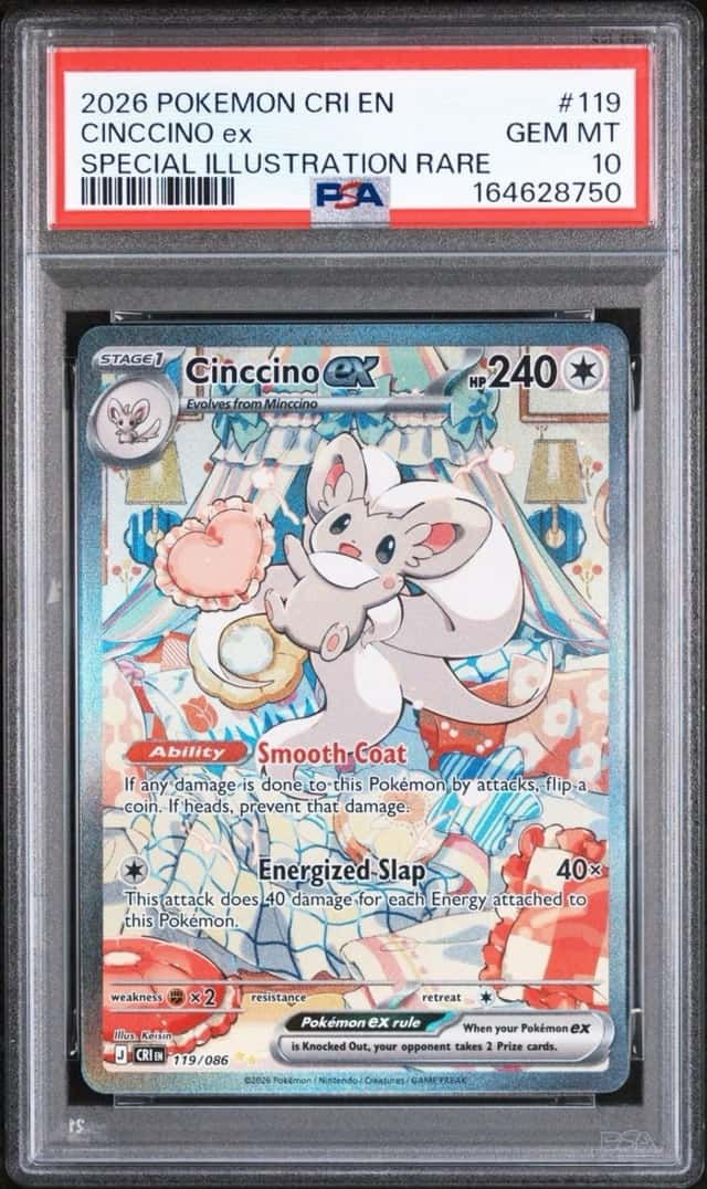 CINCCINO ex