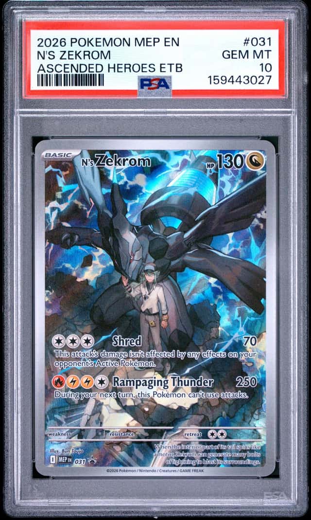 N's Zekrom