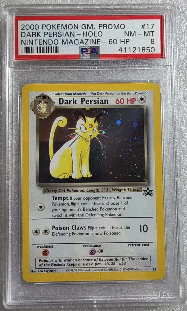 Dark Persian