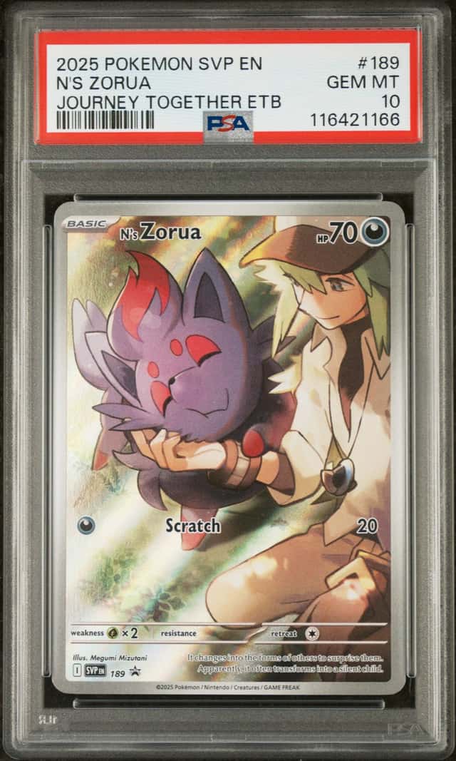 N's Zorua