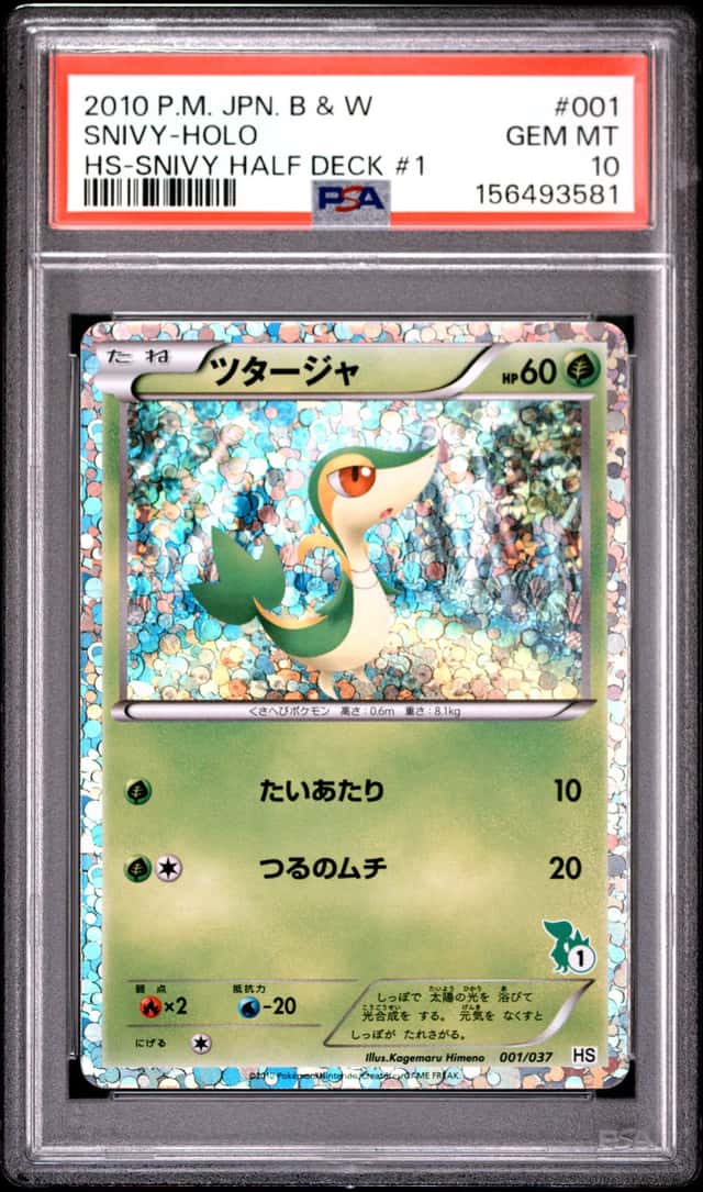 Snivy