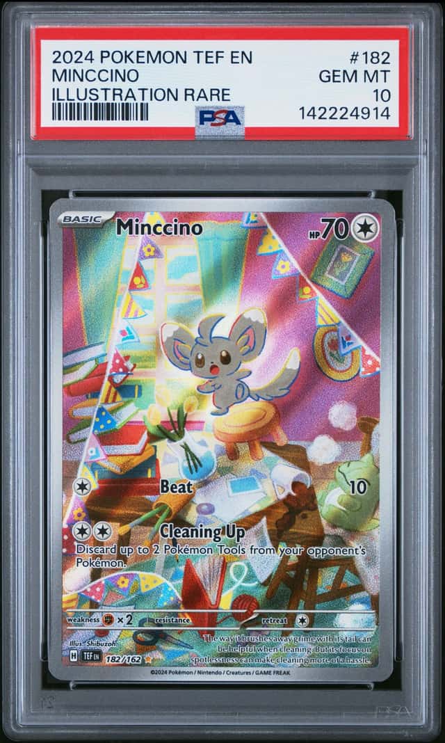 Minccino