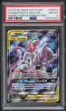 Mewtwo & Mew Gx