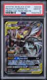 Pikachu & Zekrom Gx