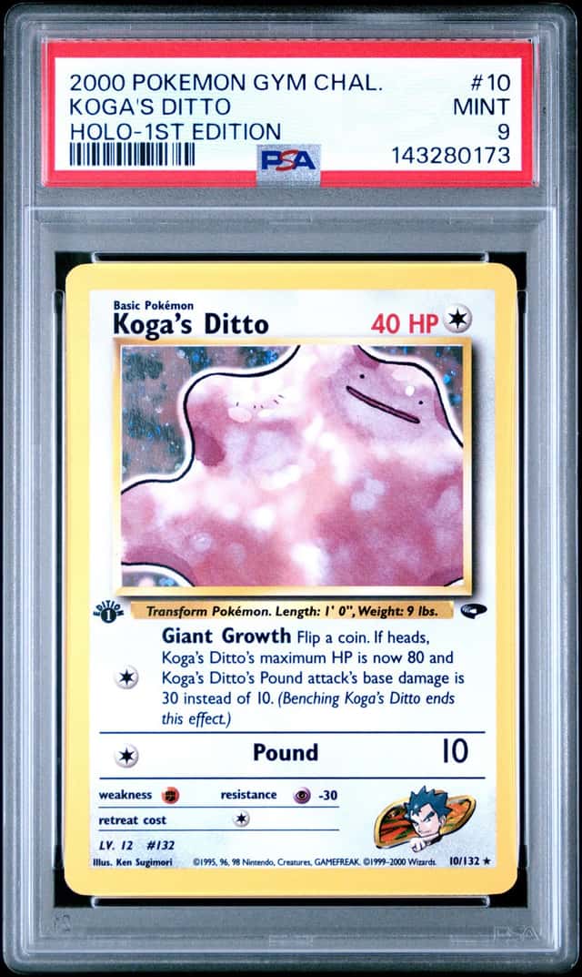 Koga's Ditto