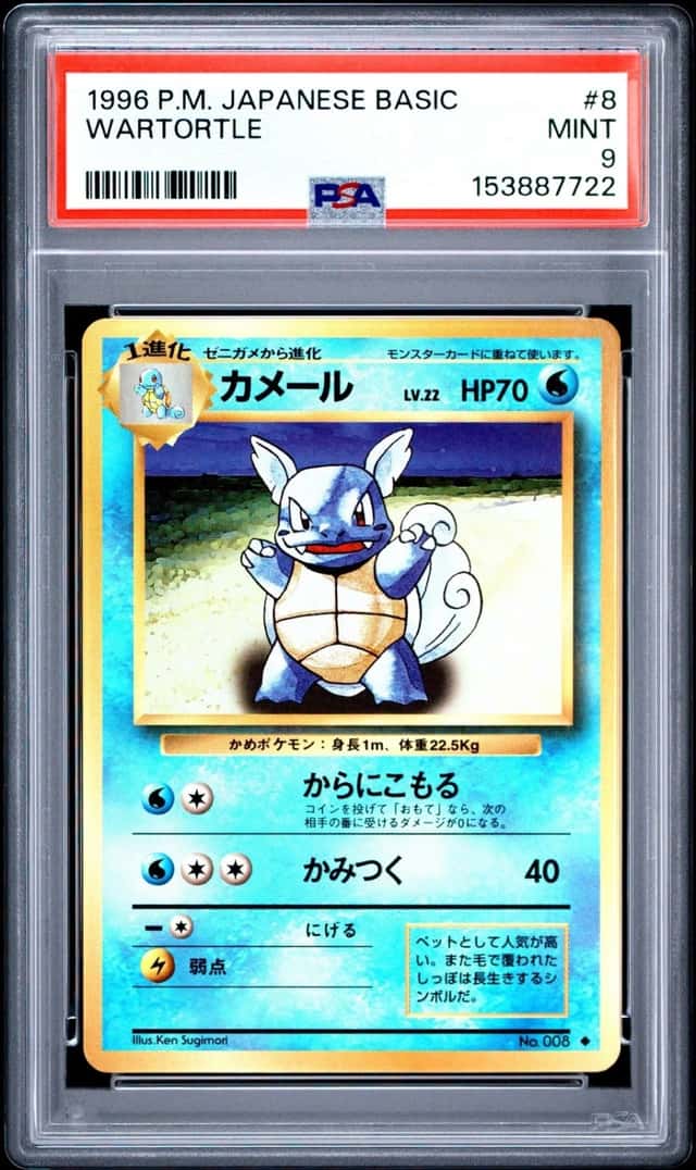 Wartortle
