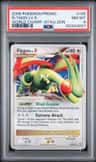 Flygon Lv.x