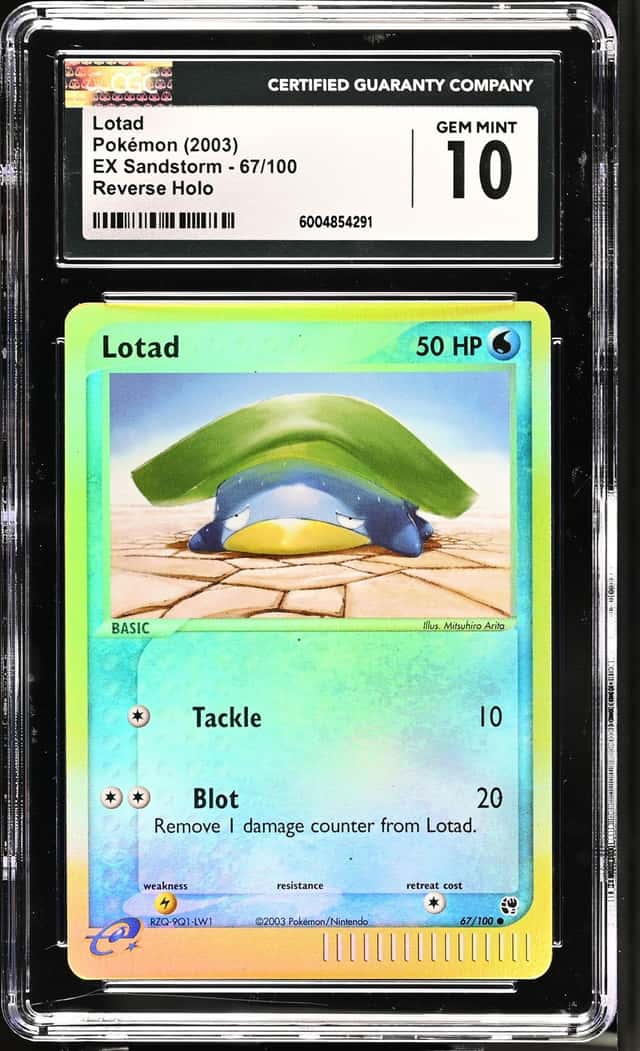 Lotad
