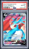 Salamence V