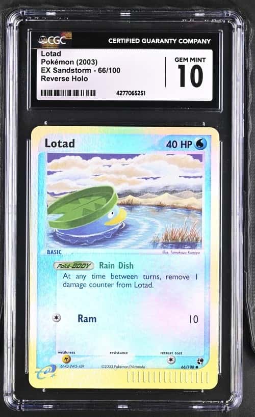 Lotad