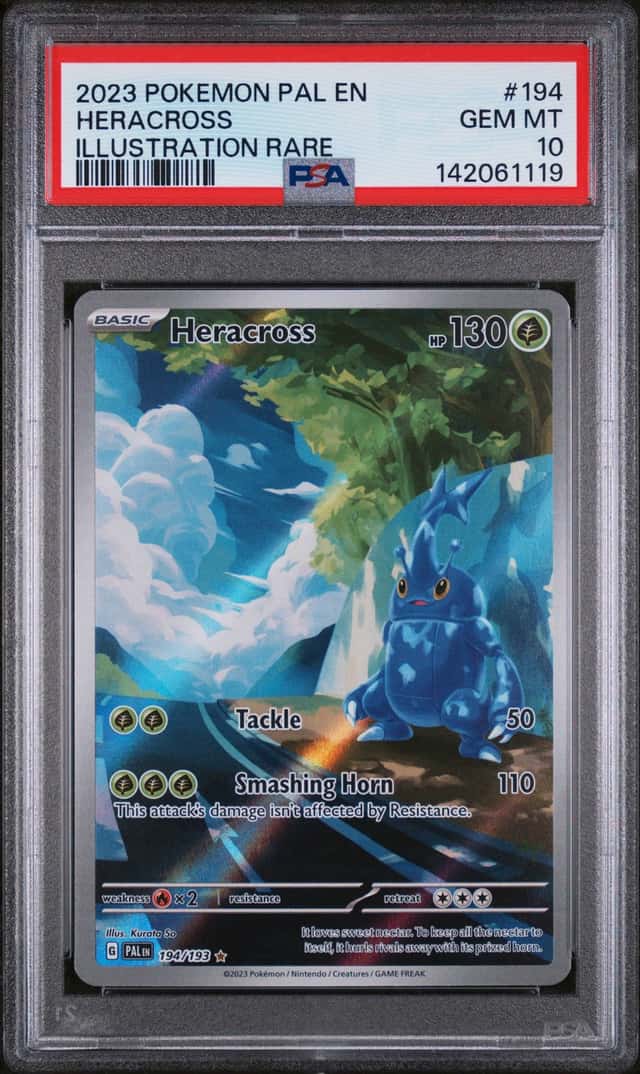 Heracross