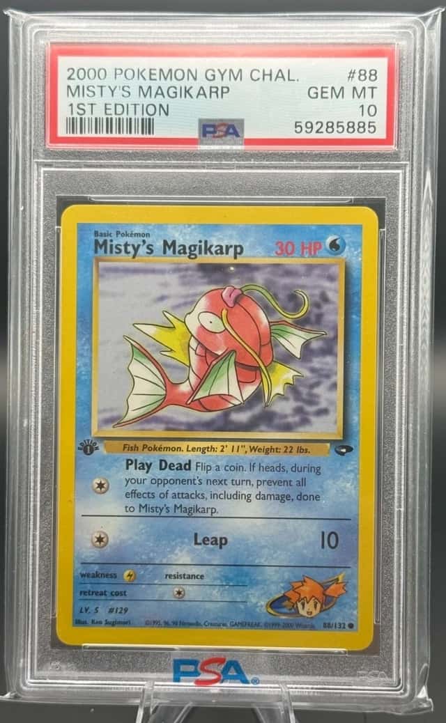 Misty's Magikarp