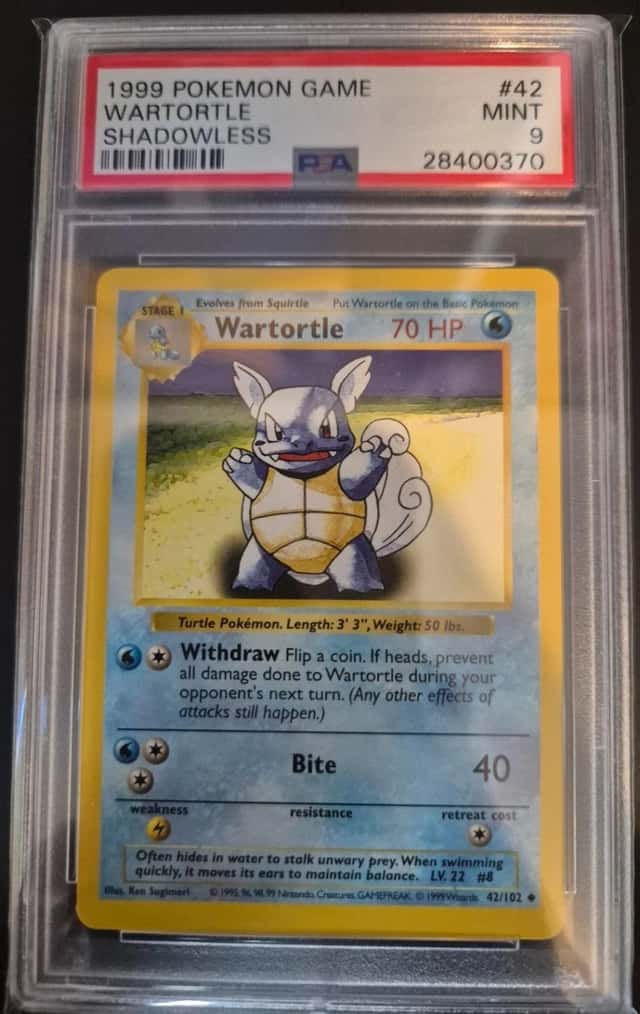 Wartortle