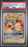 Raichu/alln.raichu Gx