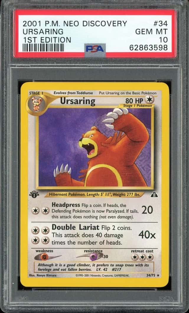 Ursaring