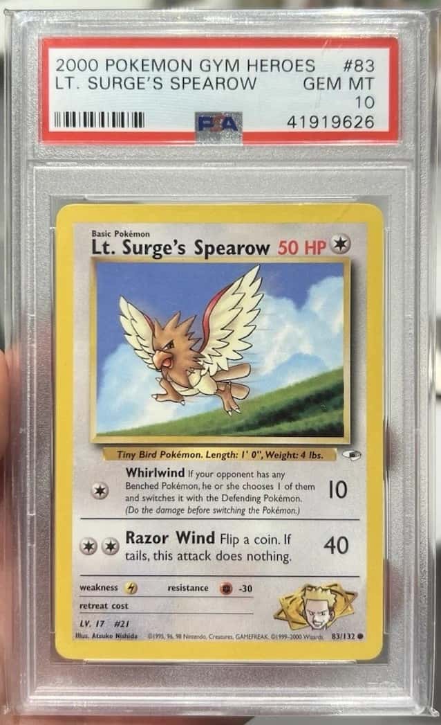 Lt. Surge's Spearow