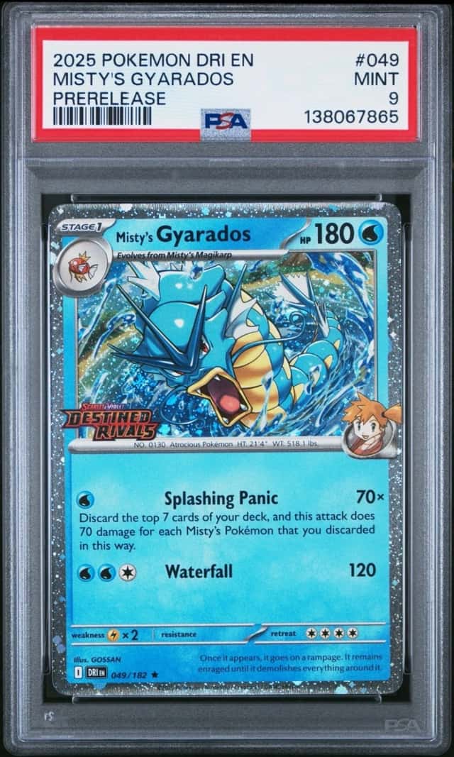 Misty's Gyarados
