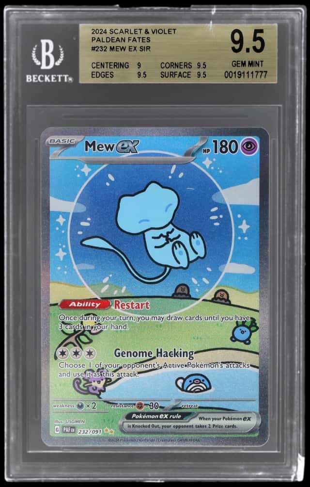 MEW ex