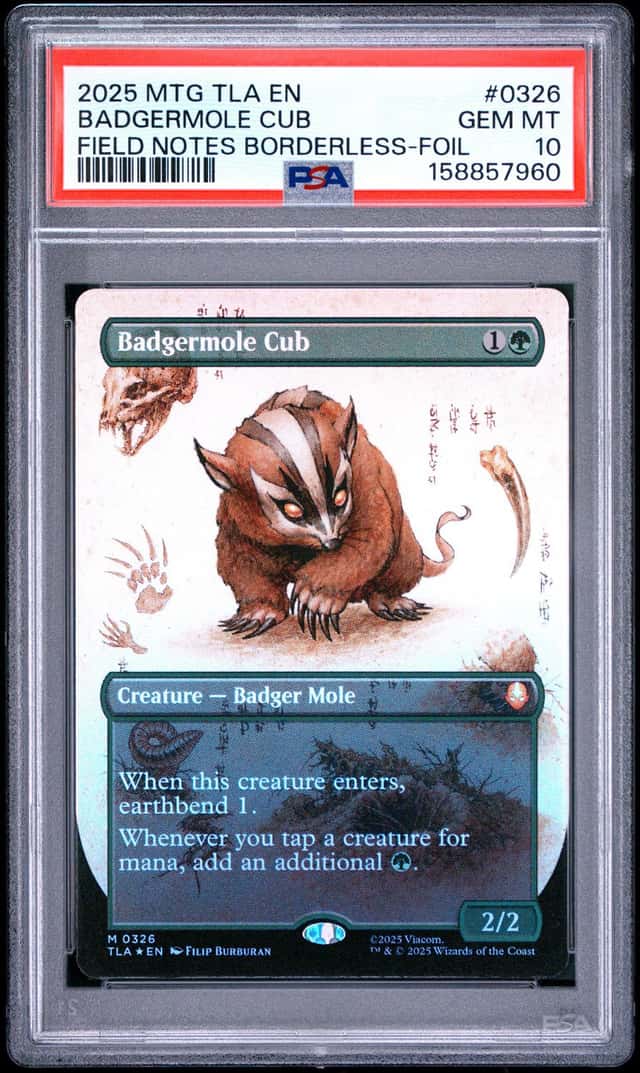 Badgermole Cub
