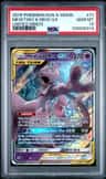 Mewtwo & Mew Gx