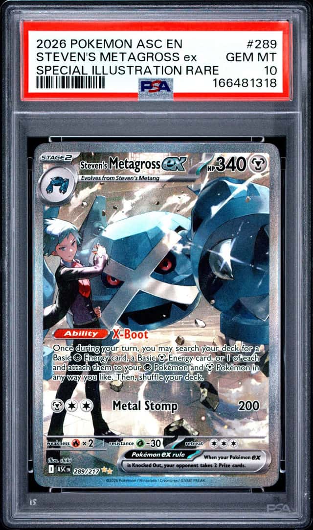 STEVEN'S METAGROSS ex