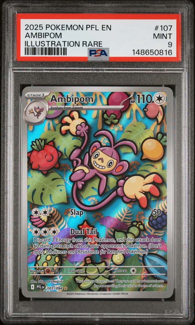 Ambipom
