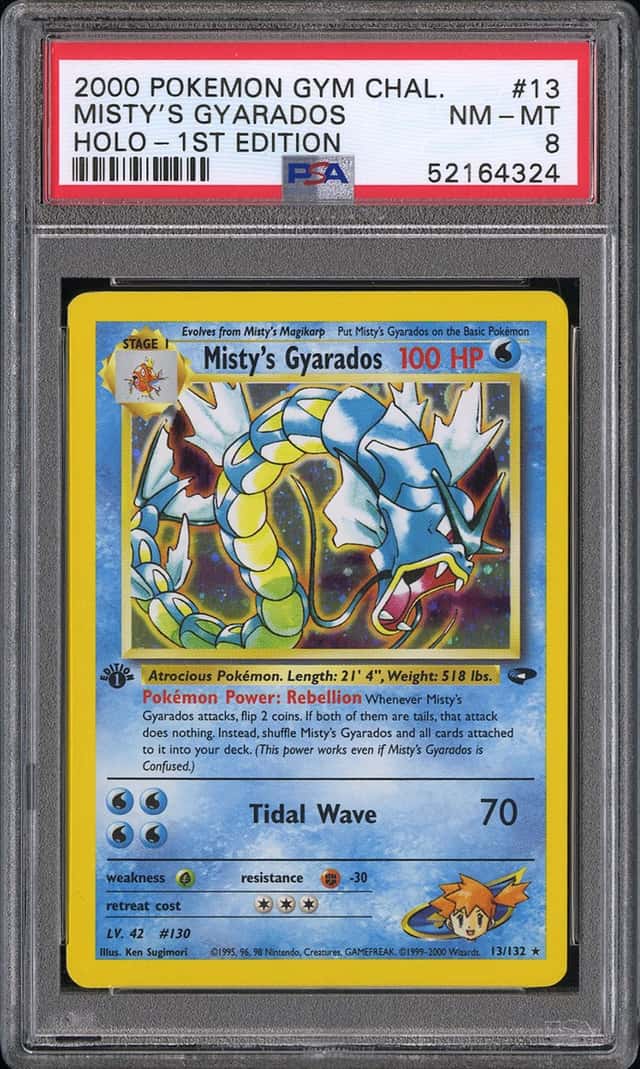 Misty's Gyarados