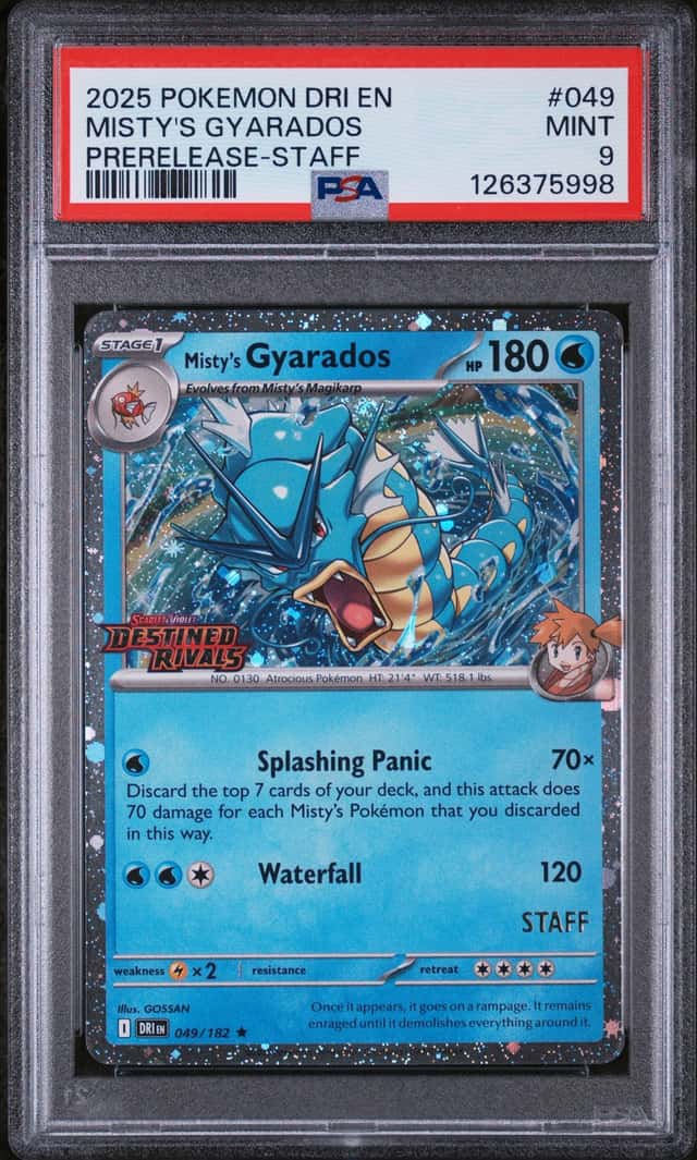 Misty's Gyarados