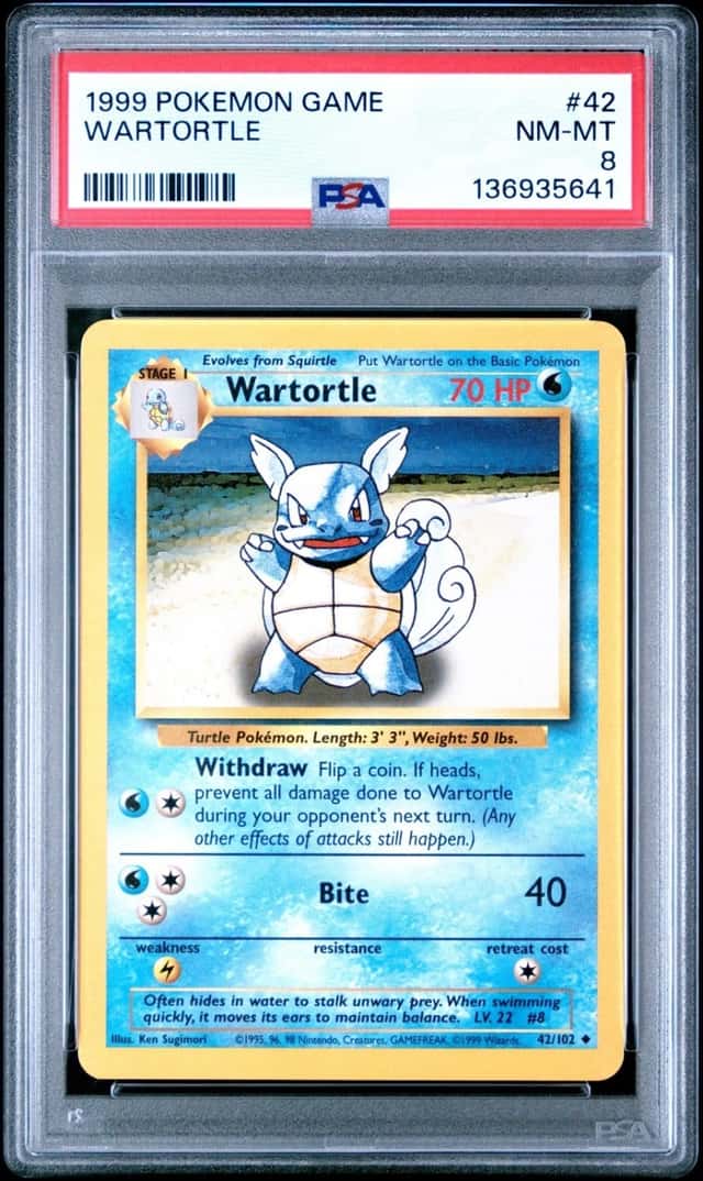 Wartortle