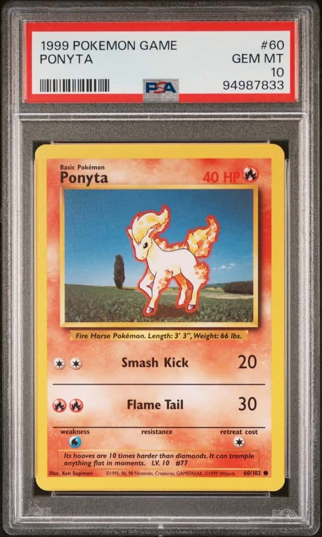 Ponyta
