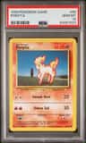 Ponyta