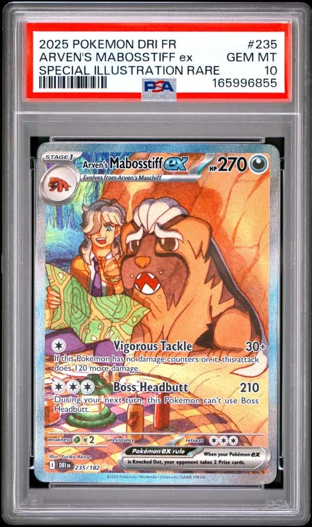 ARVEN'S MABOSSTIFF ex