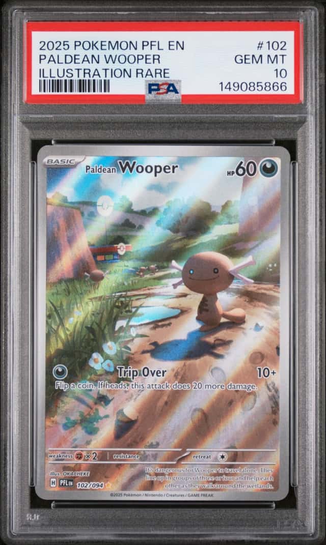 Paldean Wooper
