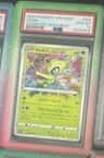Celebi