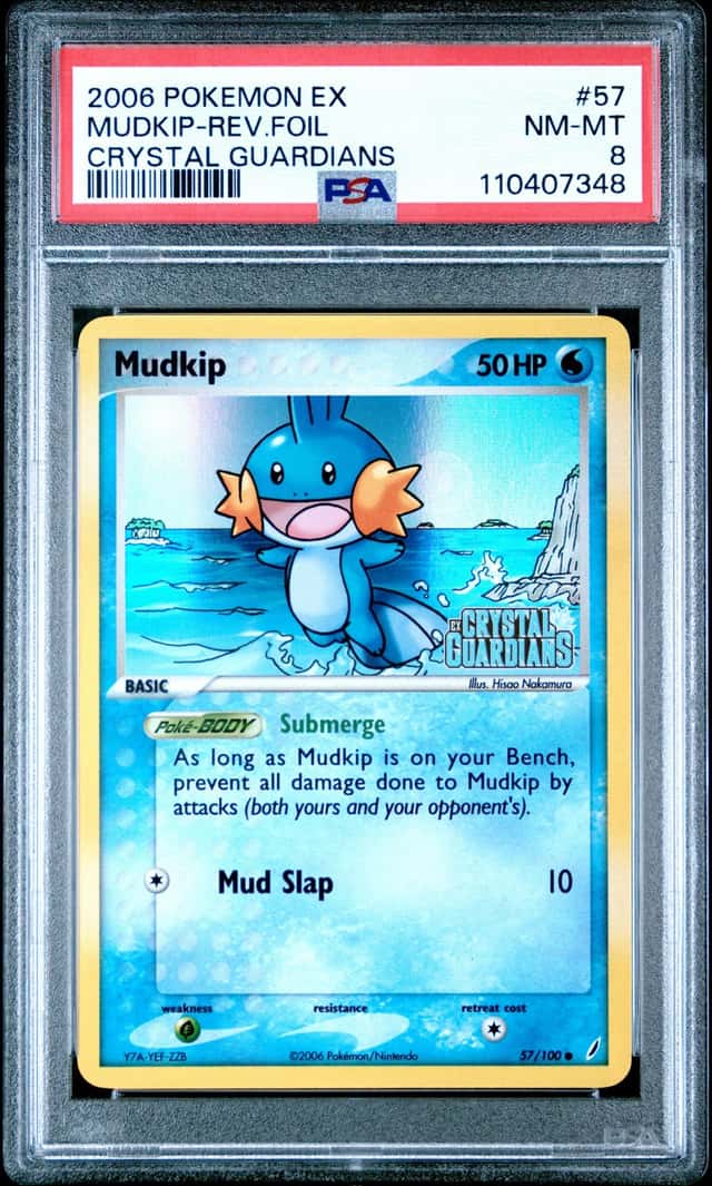 Mudkip