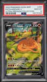 Charizard V